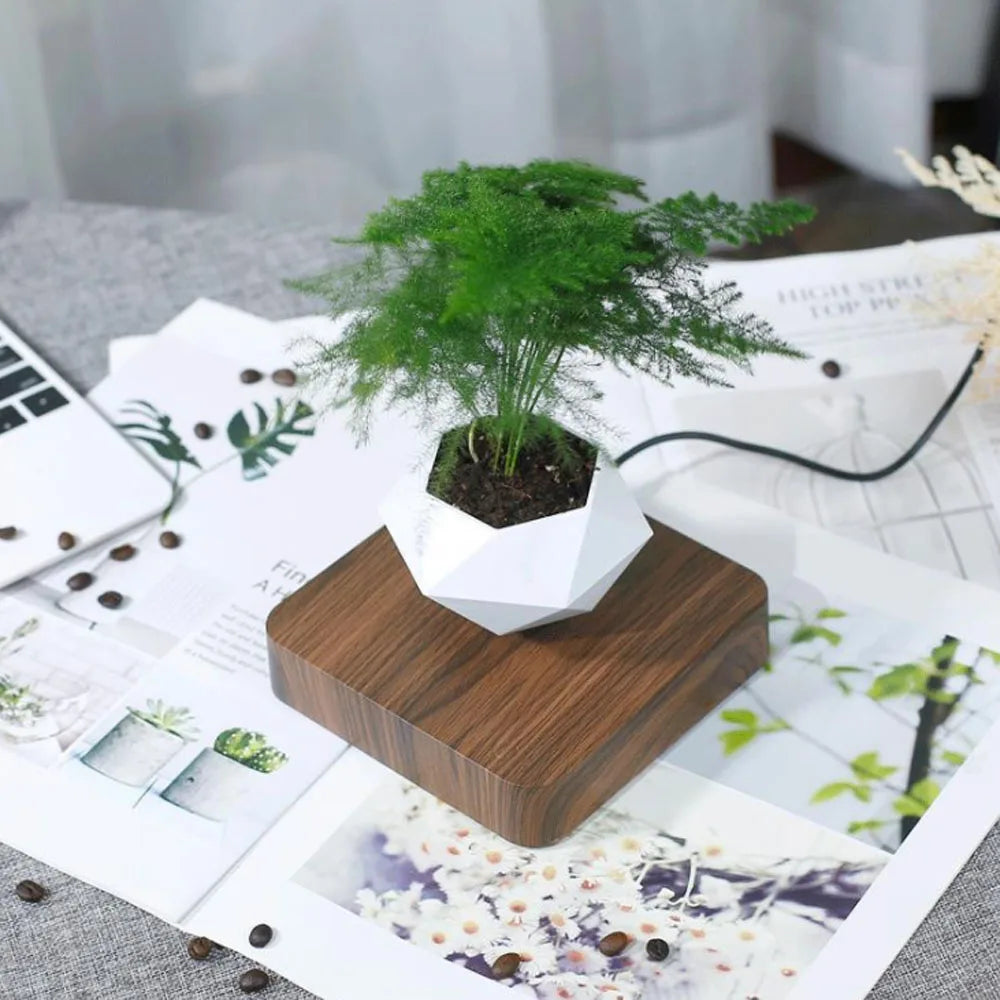 Levitating Magnetic Bonsai Planter