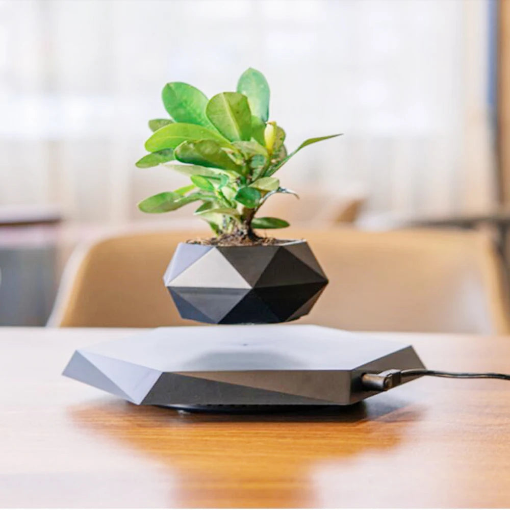 Levitating Magnetic Bonsai Planter